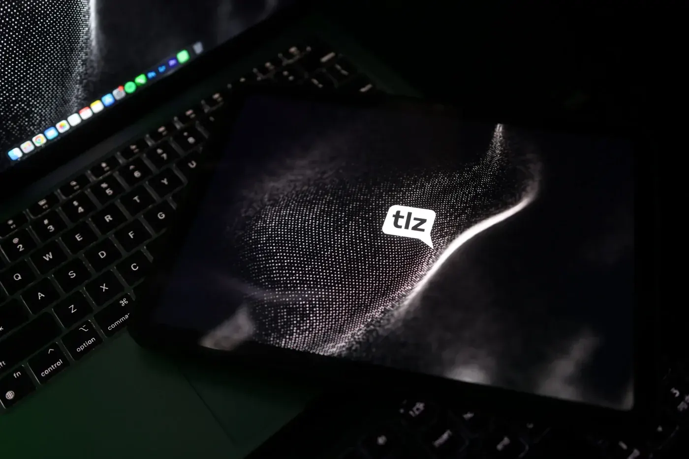 Gestão de Tráfego na TLZ Agência Digital